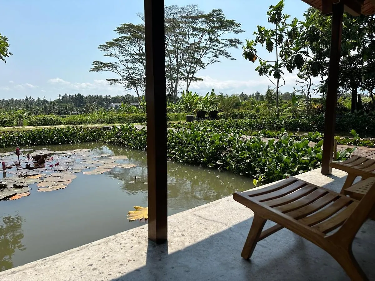 Griya Kcb Villa Ubud Szálloda