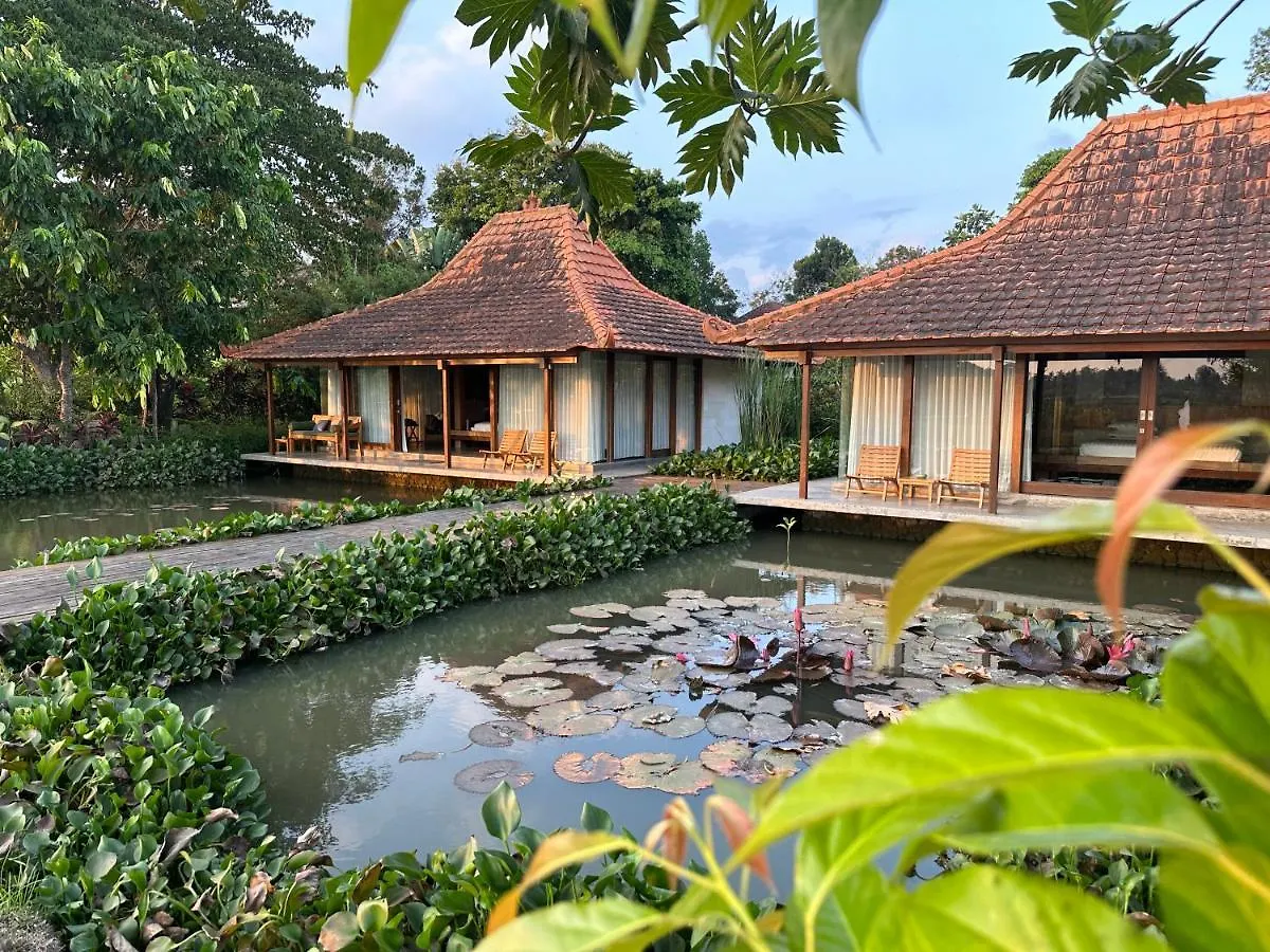 Griya Kcb Villa Ubud Indonézia