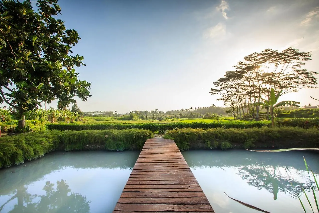Szálloda Griya Kcb Villa Ubud